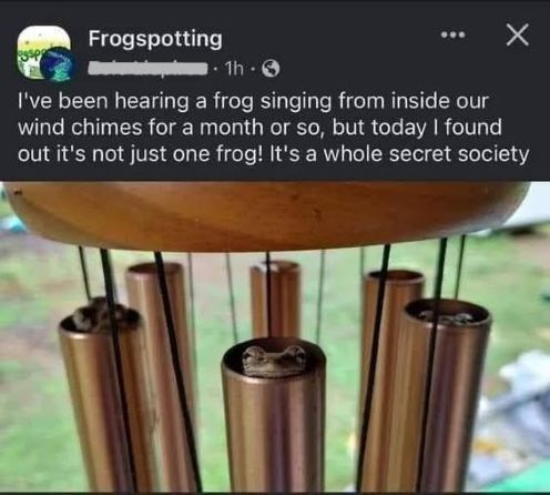 frogs in chimess.jpg